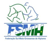 (c) Fsmh.com.br