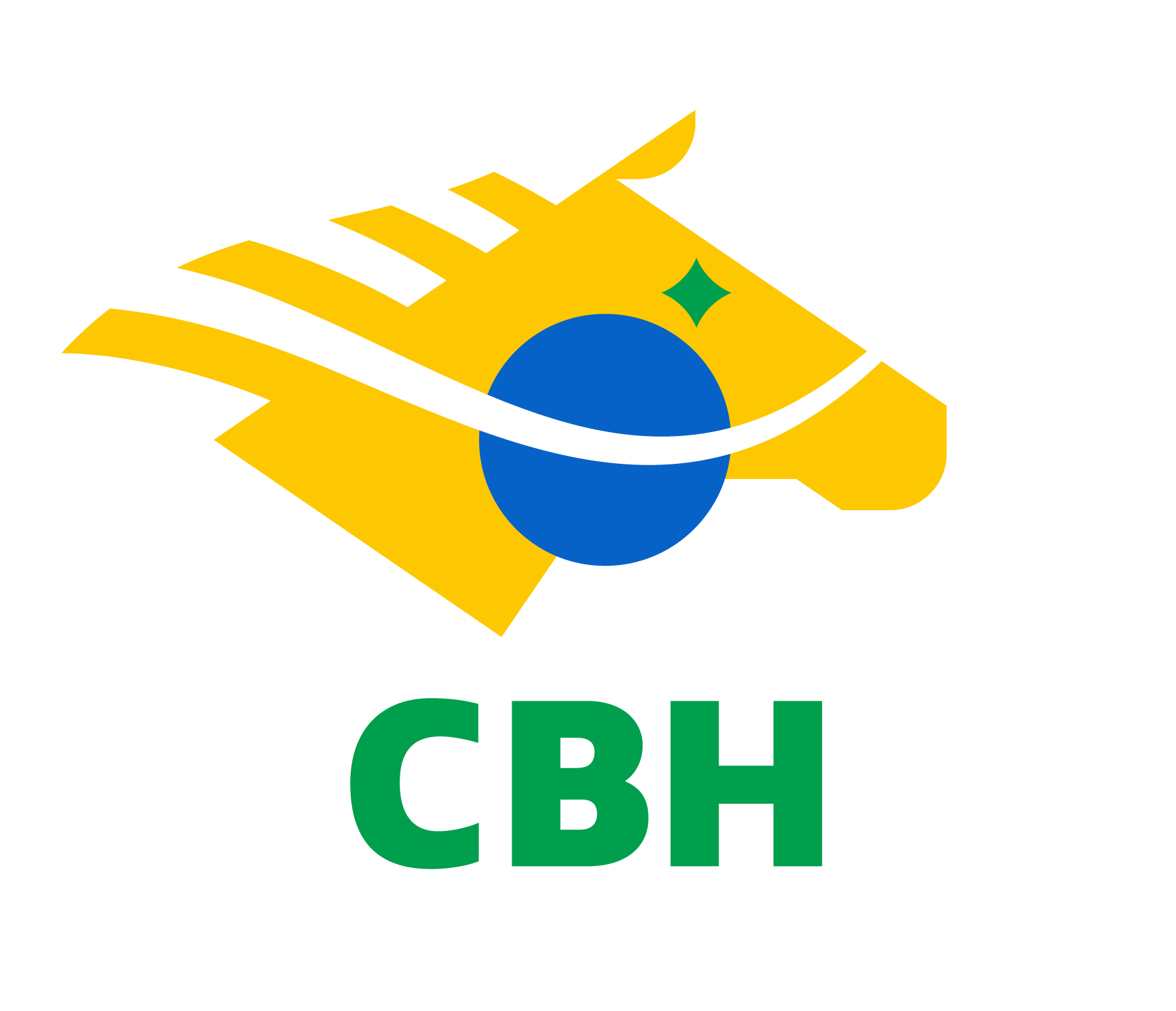 Passaporte CBH